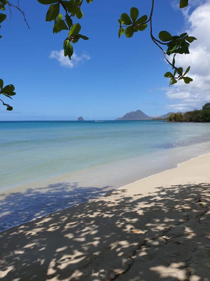 Ste Luce, N° 11 Appart -300M Plage De Mabouyas Corps de Garde Eksteriør bilde