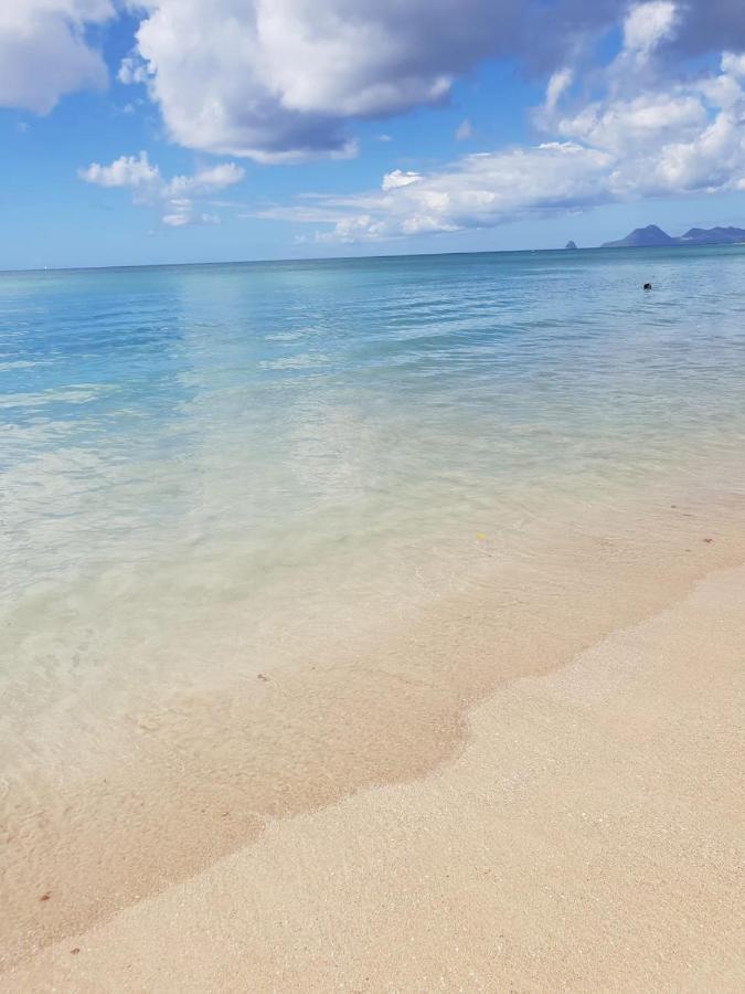 Ste Luce, N° 11 Appart -300M Plage De Mabouyas Corps de Garde Eksteriør bilde