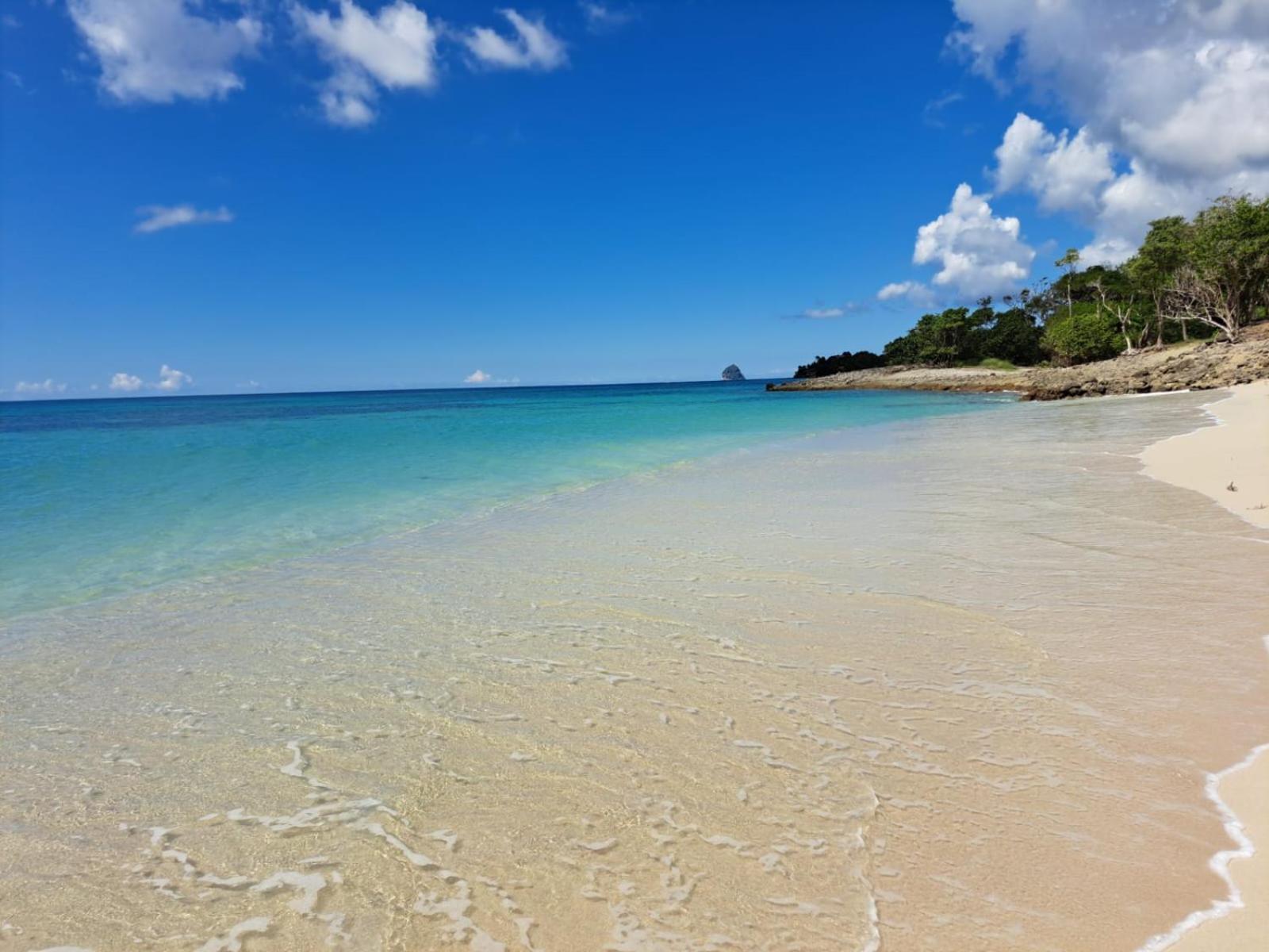 Ste Luce, N° 11 Appart -300M Plage De Mabouyas Corps de Garde Eksteriør bilde
